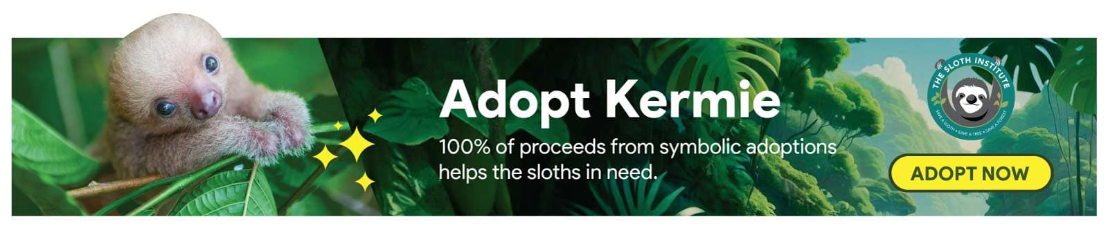 Adopt a Sloth with The Sloth Institute