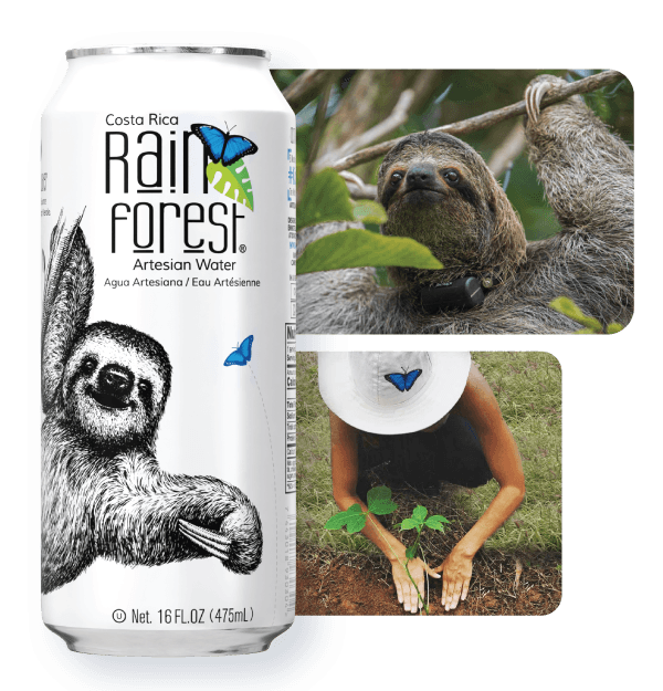 RainForest Water Can 475mL