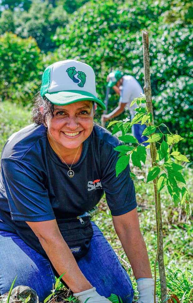 reforestation treeping program